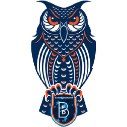 Rams Başaksehir FK