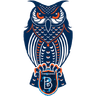 Rams Başaksehir FK
