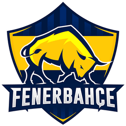 Fenerbahçe Espor