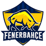 Fenerbahçe Espor