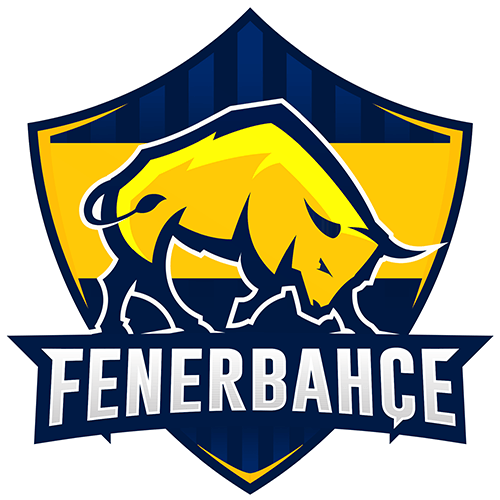 Fenerbahçe Espor